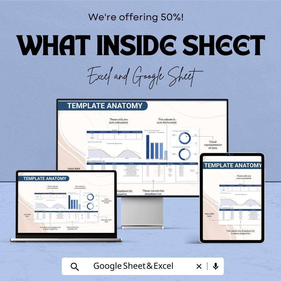 Finance Audit Observation Tracking Template | Audit Log Tracker | Financial Audit Dashboard | Audit Management Spreadsheet