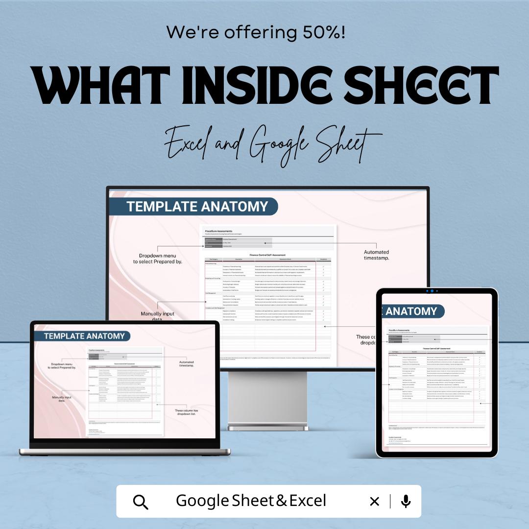 Finance Control Self Assessment Template, Internal Control Checklist, Financial Audit Tool, Compliance Spreadsheet, Excel Google Sheets