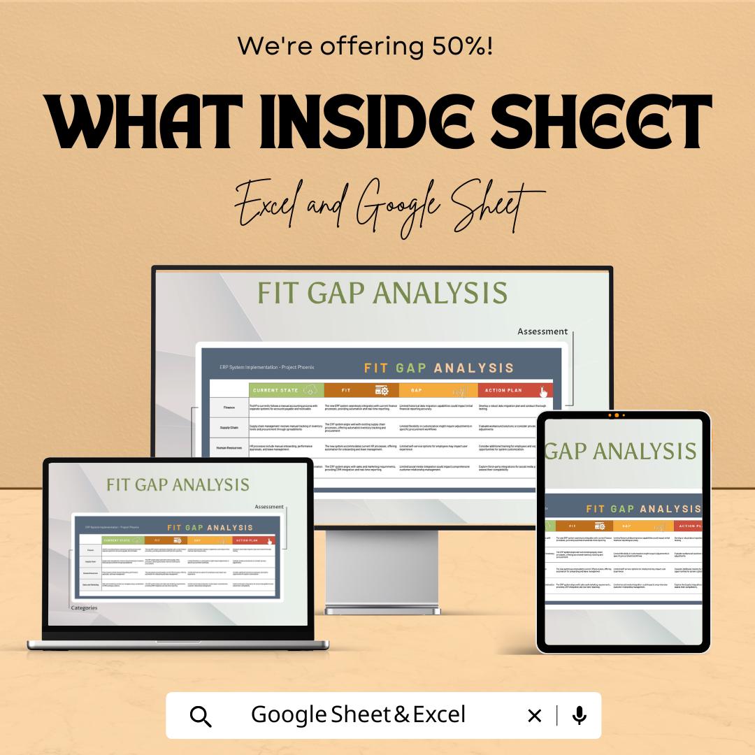 Fit Gap Analysis Template | Excel & Google Sheets | Business Process Gap Assessment Tool | Strategy Planning Spreadsheet