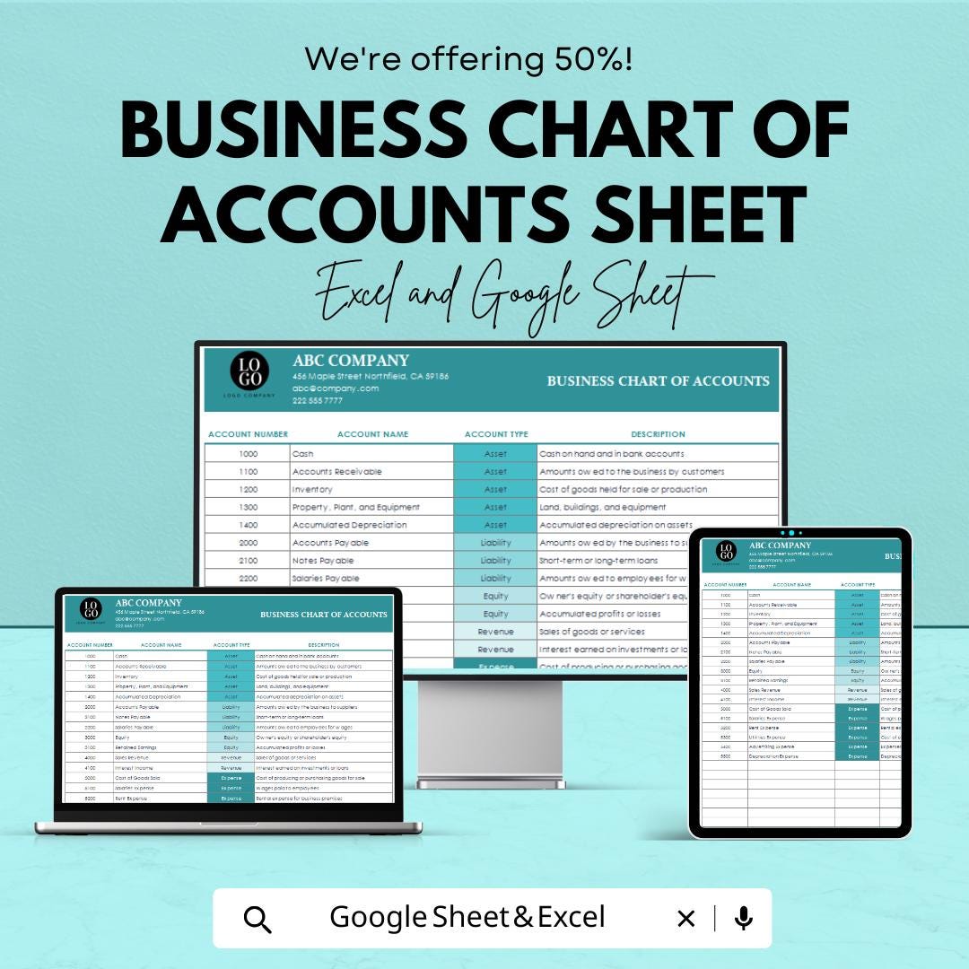 Business Chart of Accounts Sheet for Excel & Google Sheets - 50% Off - Organized Accounting Template for Small Businesses
