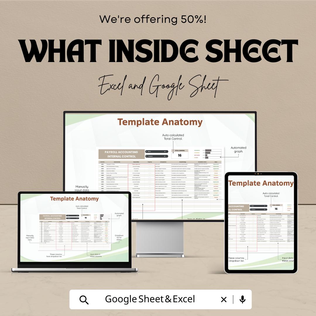 Payroll Accounting Internal Control Template | Payroll Control Sheet | Payroll Compliance Template | Internal Control Spreadsheet
