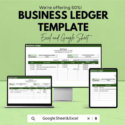 Business Ledger Template | Accounting Ledger Spreadsheet | Bookkeeping Template | Income Expense Tracker | Double Entry Ledger