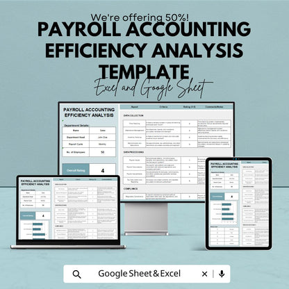 Payroll Accounting Efficiency Analysis Template | Payroll Audit Tool | HR Management Spreadsheet | Payroll Performance Tracker