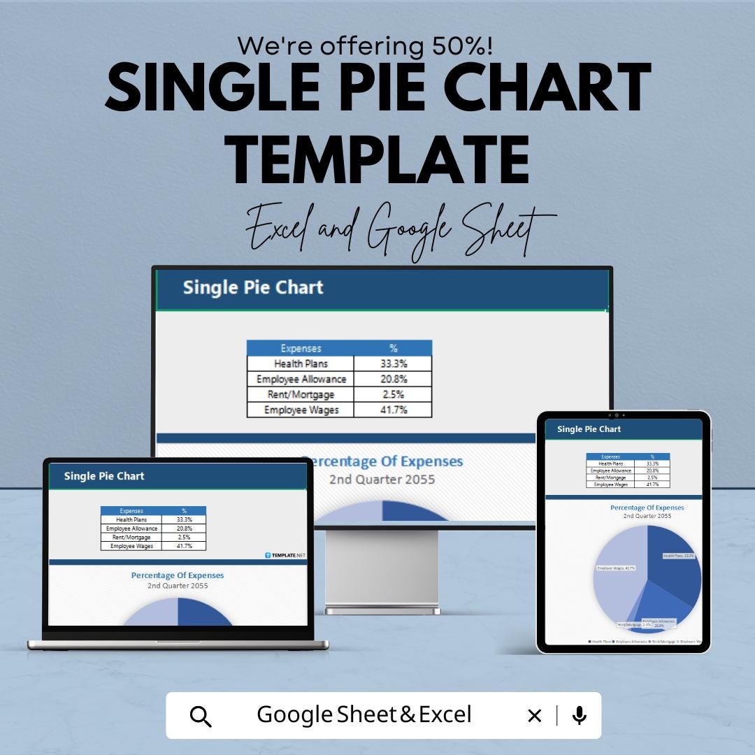Single Pie Chart Template | Excel & Google Sheets Chart | Data Visualization Template | Business Report Chart | Expense Analysis Sheet