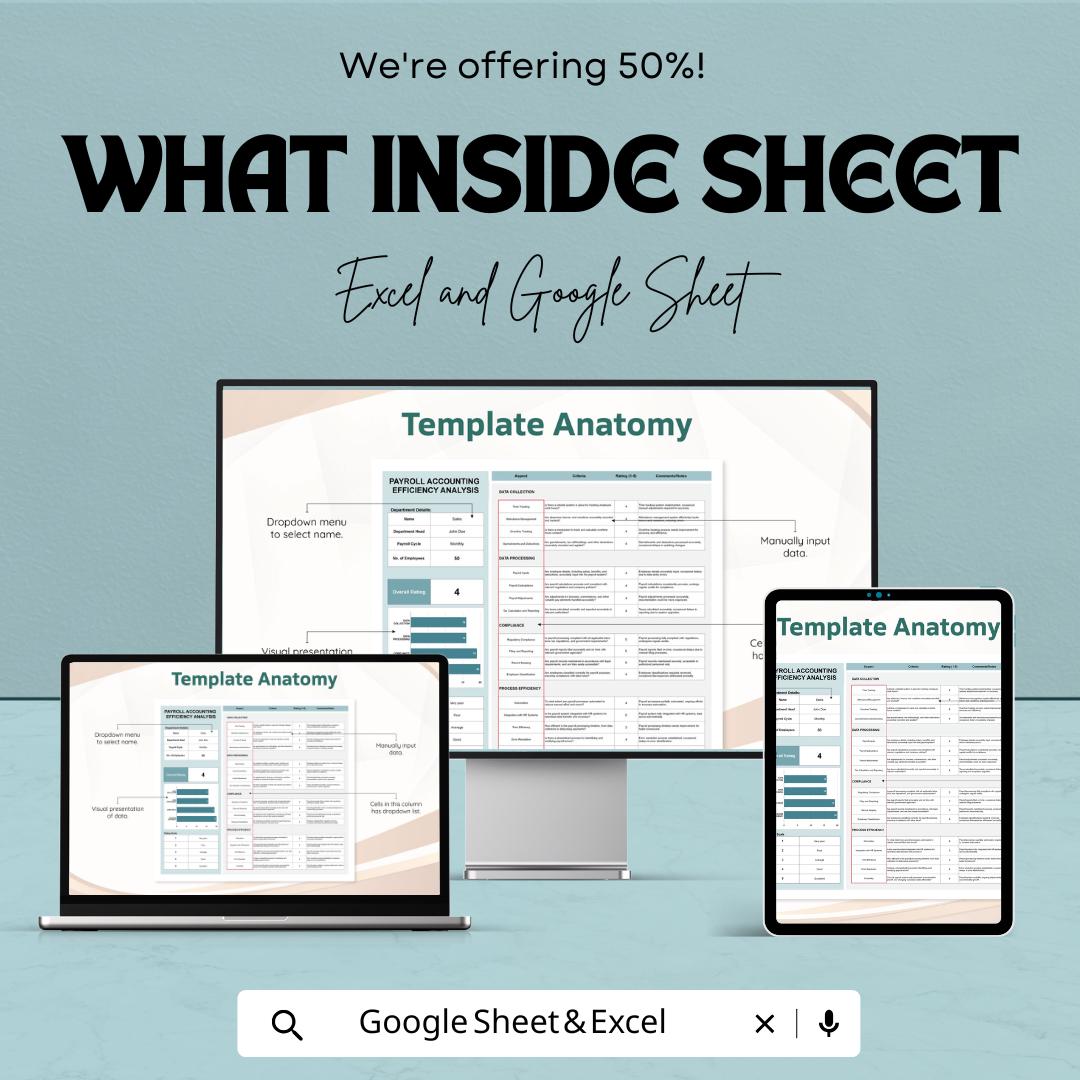 Payroll Accounting Efficiency Analysis Template | Payroll Audit Tool | HR Management Spreadsheet | Payroll Performance Tracker