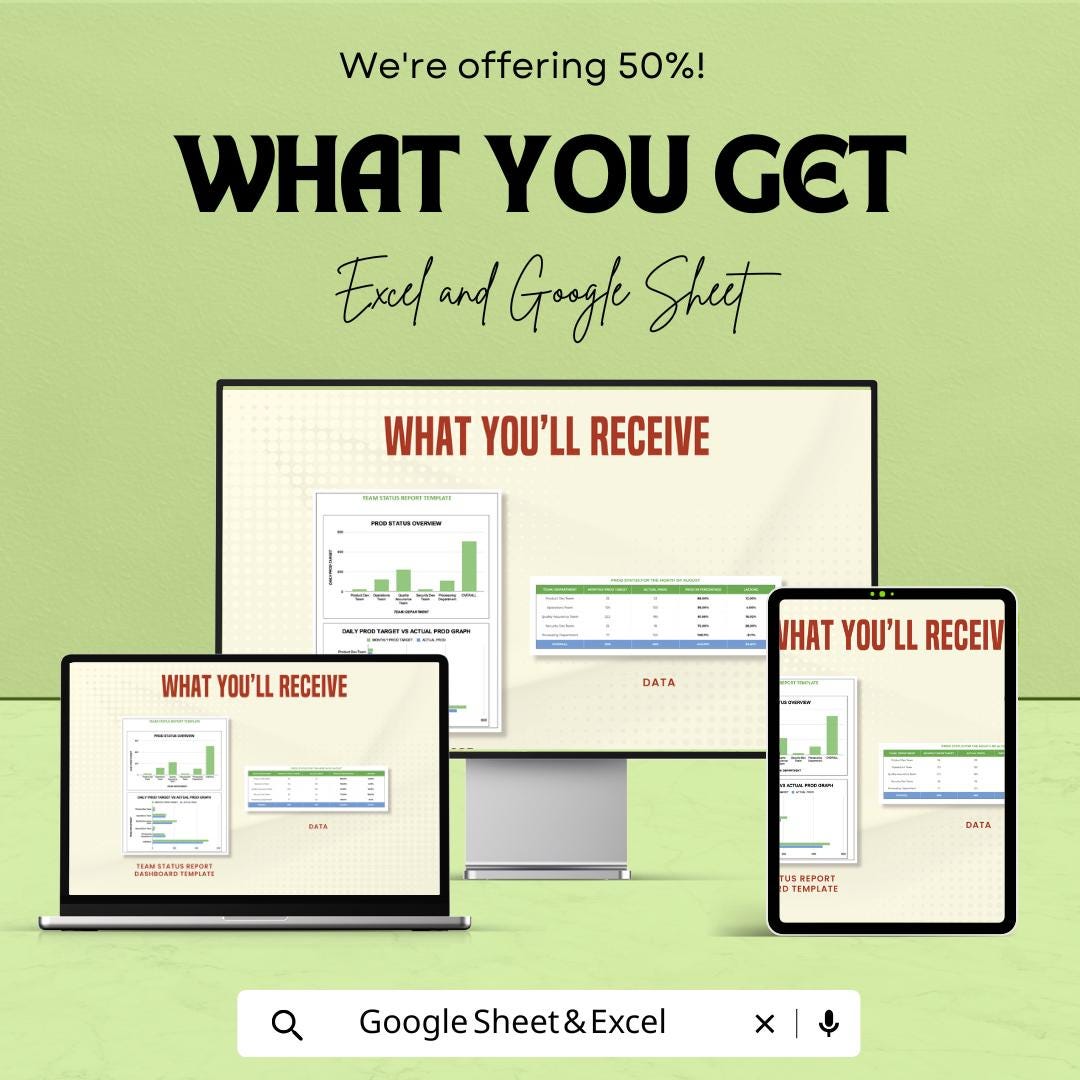Team Status Report Dashboard | Excel and Google Sheet | Productivity Tracker | Task Status Overview | Digital Download Template