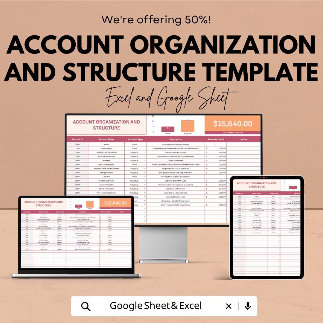 Account Organization Template | Chart of Accounts Template | Accounting Structure Spreadsheet | Financial Organization Planner