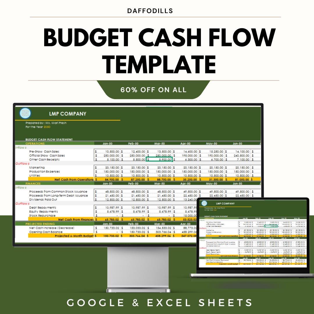 Budget Cash Flow Template, Cash Flow Spreadsheet, Business Cash Flow Planner, Google Sheets Excel